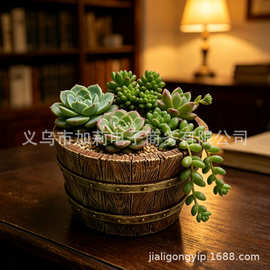 跨境热销创意防木头多肉花盆家居办公室装饰绿植微景观拼盘摆件
