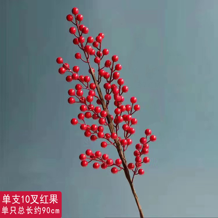 10 포크 붉은 과일