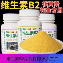 �S����b2��~�����Tʳ���~�D�C�����ӄ����S���a�~���~��D�_�ڷ�