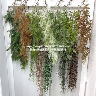 ����Gֲɭϵ��Y�û��Ļ�c�����픻��~�����������ϾGɫ�廨