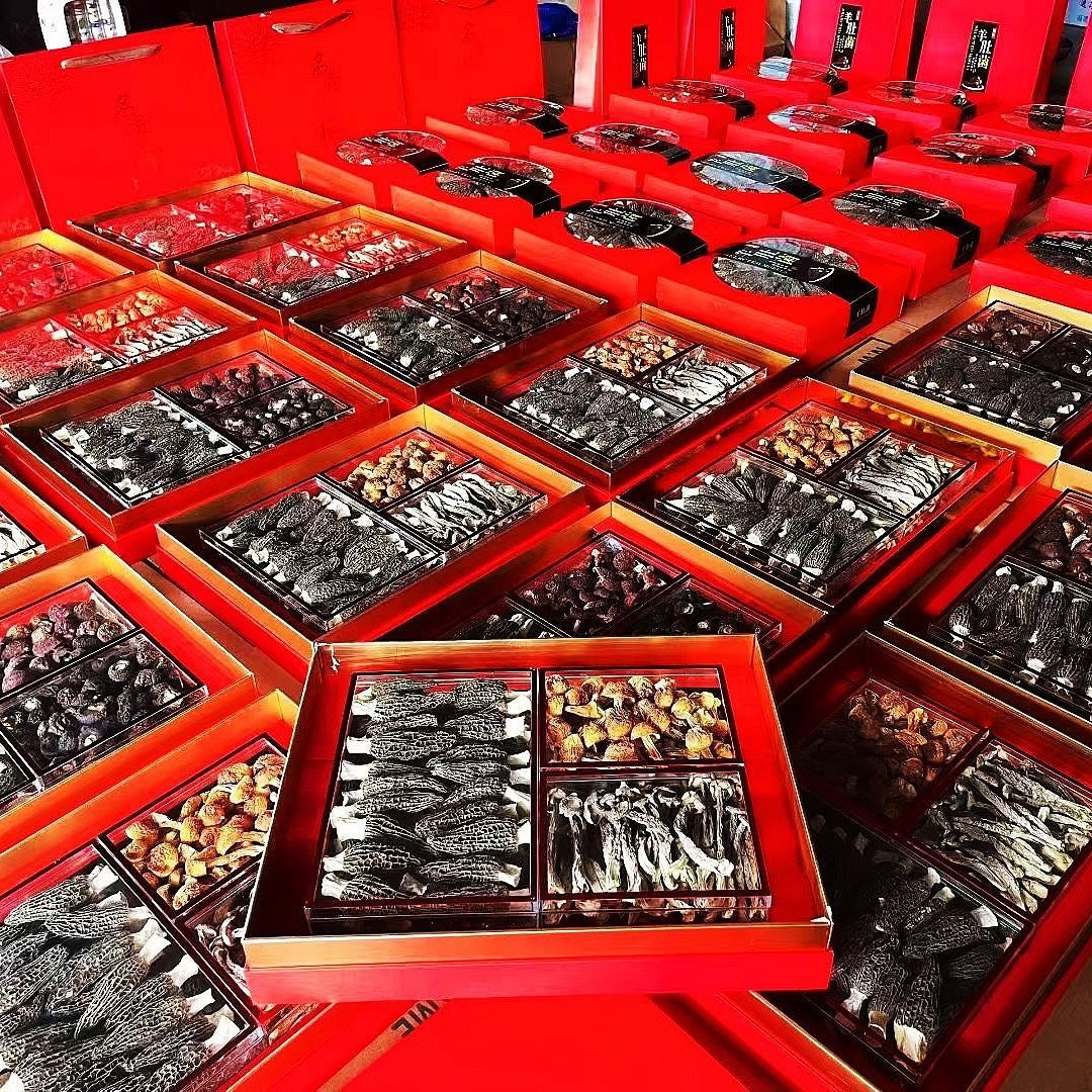 羊肚菌香格里拉野生松茸片云南野生美味牛肝菌三拼礼盒干山珍菌菇