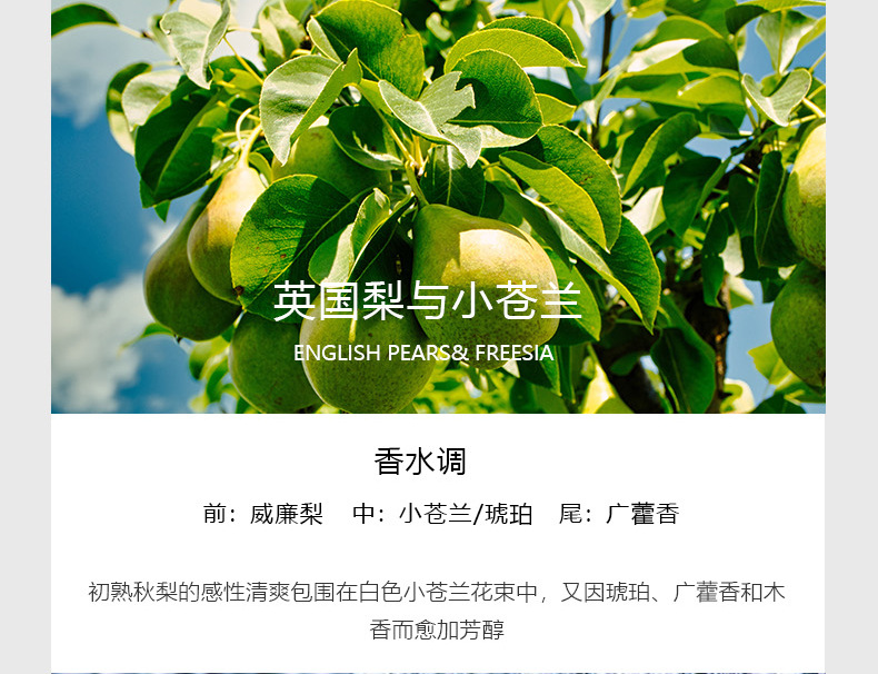 简约杯_24.jpg