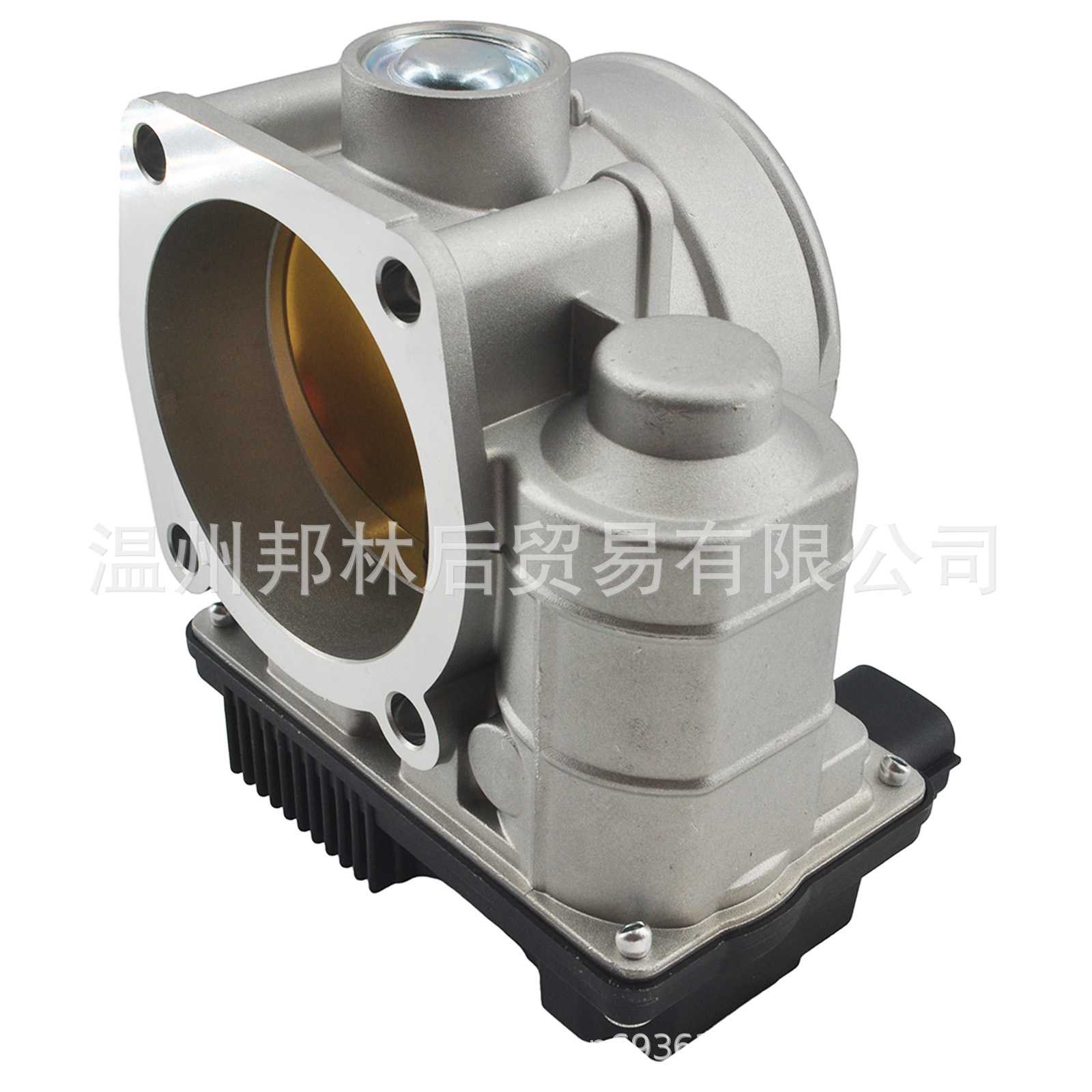 16119-8J103 Car Throttle Assembly 16119-8J100 16119-8J101 Is Suitable for Nissan