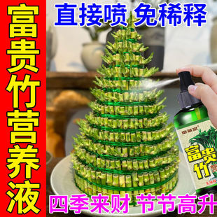 Rich Bamboo Hydroponic Nutrient Solution Without Dilution Household Transfer Guanyin Bamboo Water Culture Plant Potted Plant Foliar Fertilizer Bamboo
