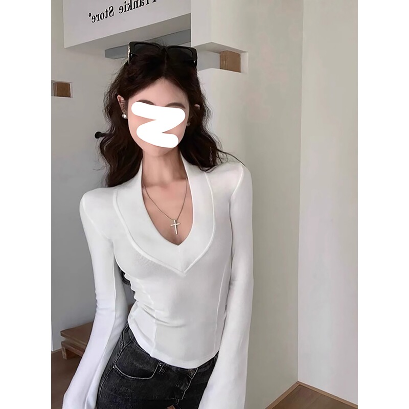 4630 # Official Picture of Mousse Cashmere 280g Long-Sleeved T-Shirt for Women in Spring, Autumn and Winter Fleece-Lined Double-Sided Velvet Bottoming Shirt