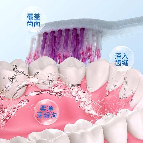 Meike M494 Lion-inspired fine bristle soft gum care adult couple's household small head toothbrush