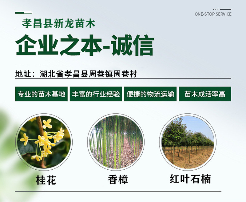 O1CN01vcYRAF1ojaMCpCB2d_!!9615