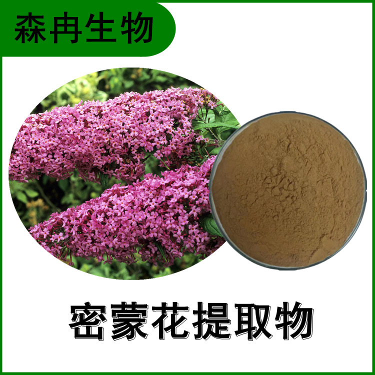 密蒙花提取物 水锦花浓缩粉 比例萃取 植物提取原料粉 厂家批发