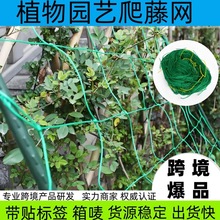 爬藤网 豆角黄瓜苦瓜网支架网园艺植物爬藤网 大棚花卉藤蔓尼龙网