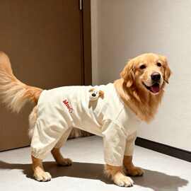 狗狗衣服秋冬季保暖立体小狗四脚衣大型犬金毛萨摩耶巨贵拉布拉多