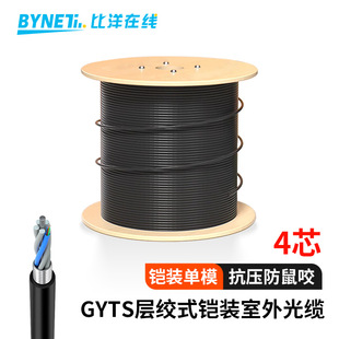 Armored 4-Core/6-Core/8-Core/12-Core/24-Core/36-Core/48-Core/72-Core/96/144-Core Single-Mode Outdoor Light