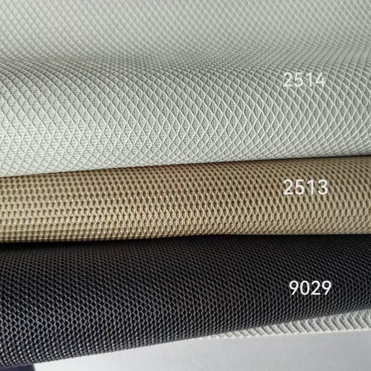 2025-03-10 12:18:55.jpg