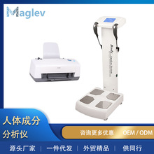 GS6.5body�w�y�x�������٤�^���w�ɷַ����x�����w֬�y���z�y�x