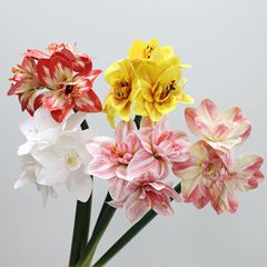 模造花朱頂紅PU手触り君子蘭家庭客間食卓装飾造花プラスチック花生け花装飾花