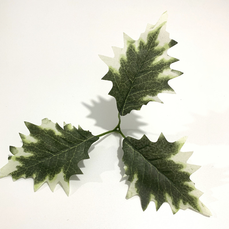 微信图片_20220601220509_副本