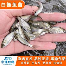 ���w����~��ι���~ι�Z�~ι�������ǿ��������|�~ˮ�匙���D��