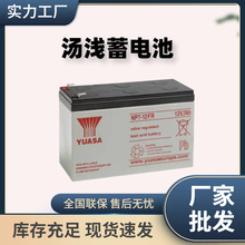 汤浅蓄电池NP24-12铅酸免维护12V24AH光伏UPS/EPS设备直流屏专用