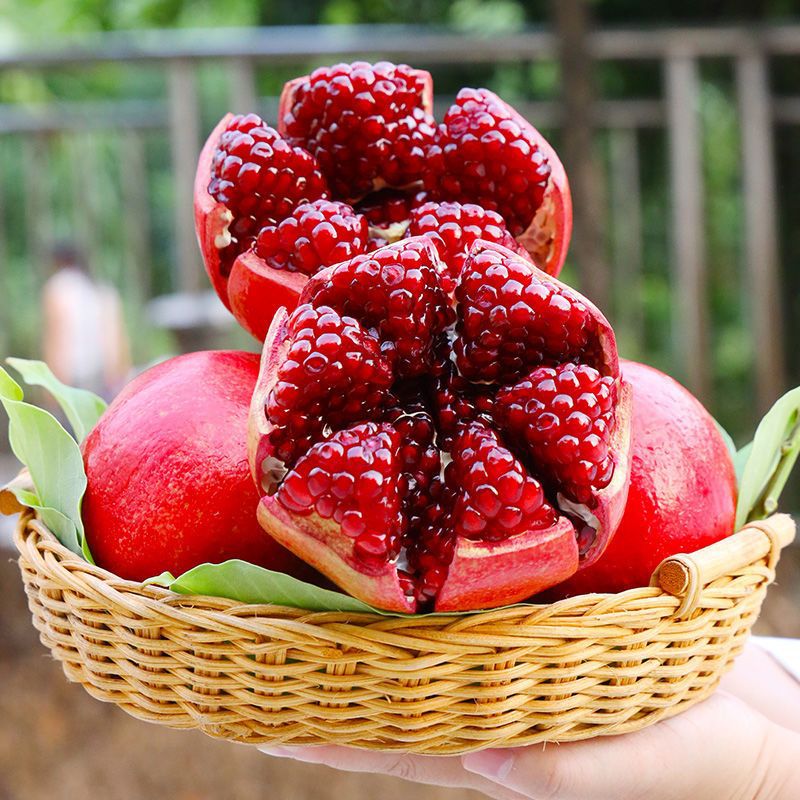 Pomegranate wholesale Fiery dragon On behalf of fruit fresh Seedless Huili 10 Full container Cross border