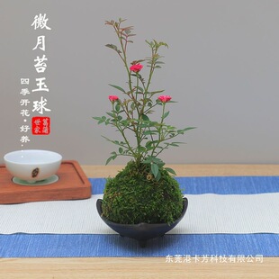 ���������㳬΢�� �¼�̦���� õ�弧�¼�̦�\���̨��̨���滨��