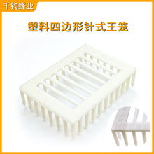 蜂王笼塑料针式扣脾囚王笼 防蜜蜂王逃跑多功能控王笼养蜂蜜王笼