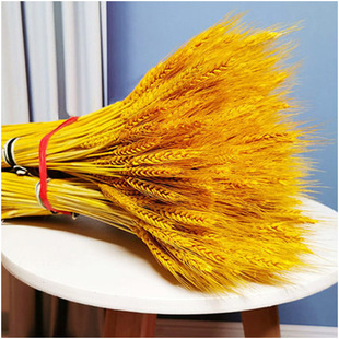 �S�����l��Ȼ����ɻ����_�I�����b[����@�L�ɻ��廨�Ĕz����