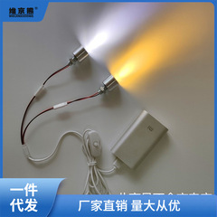 5V LED bead high-intensity ultra-bright 5V LED light source USB power bank DC light DIY model handcrafted small ginger tea