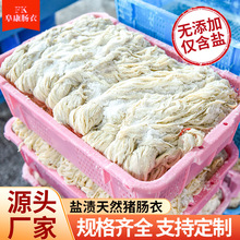 ��Ȼ�i�c�¼����}�n�c��С�c�ֹ����ƹ����c�D�c�i�c�S�����l