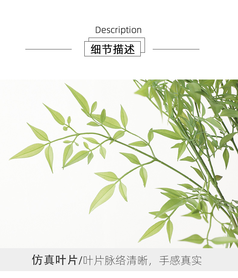 详情_06.jpg