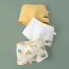 Fruit combination/3 pack