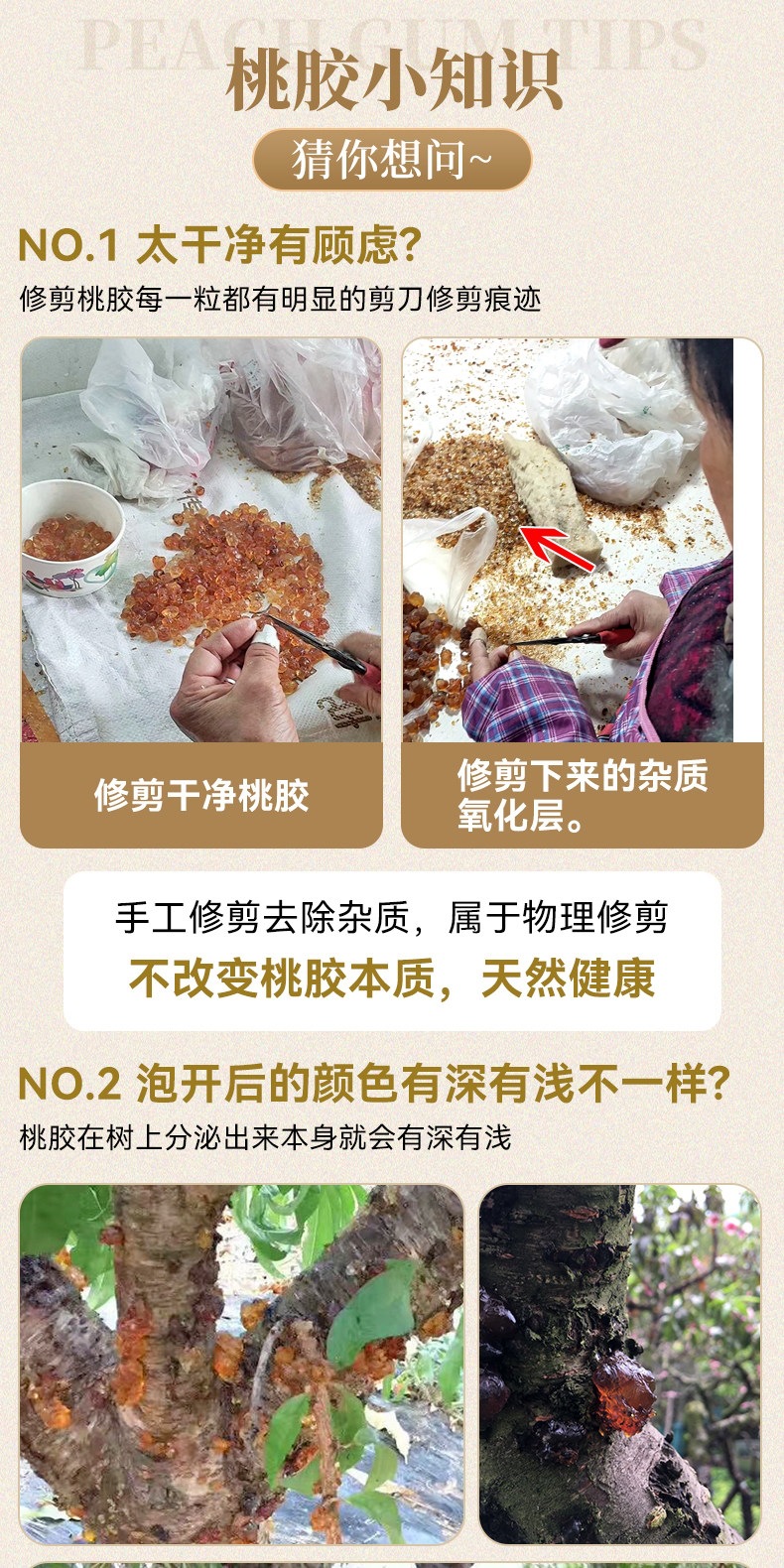 Peach Gum Tao Jiao 桃胶 Dried Resin with White Fungus Soup Pack 500g for Sweet Dessert Soup in use