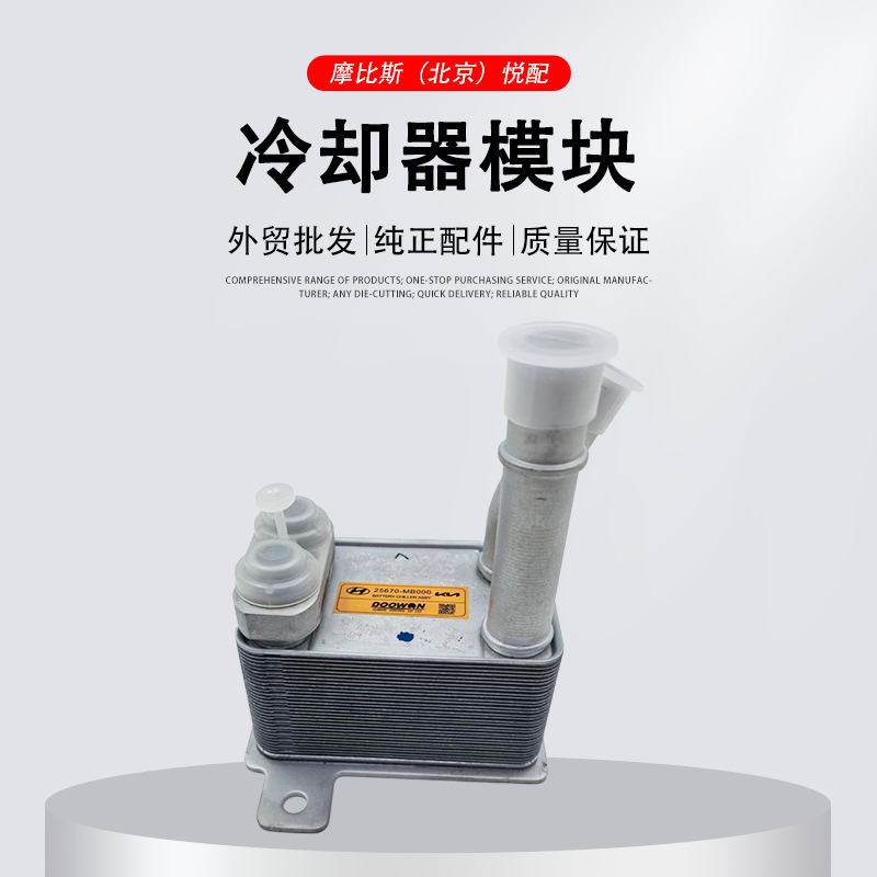 Suitable for Kia Ev5 Electric Vehicle Cooler Radiator Coolant Circulation Cooling Device Oe25670Mb00 Suitable for Kia Ev5 Electric Vehicle Cooler Radiator Coolant Circulation Cooling Device Oe25670Mb00