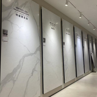 �ҕ�������˶������D�Ұ��{��ʯ���D�ɴu�p�ݺ��s�B�y���O����