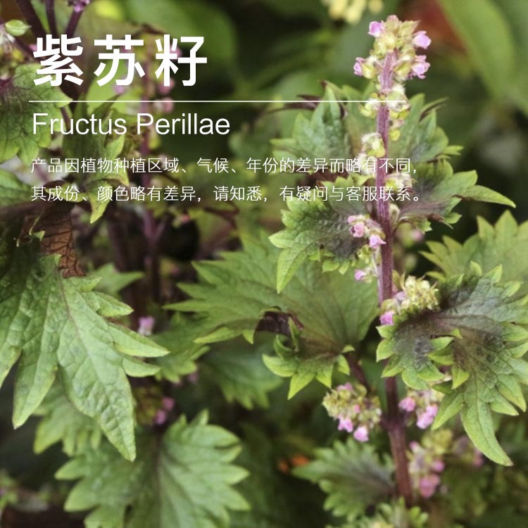 ���ҹ�Ӧ�������� ��ե������ �������� ԭ������ ��ӭ�ɹ�