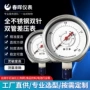 双管轴向记忆耐震差压表