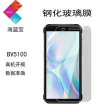 Blackview BV5100ֻĤĤtemperedglassֻĤpro