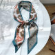 Women's silk scarf spring and autumn small long western style fashionable lazy women South Korea all-match decorative scarf scarf suit tie bag