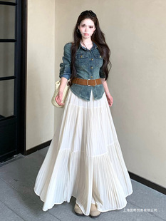 2025 New Retro Hong Kong Style Hot Girl Denim Top Suit Women's Spring High Waist Pleated Half Long