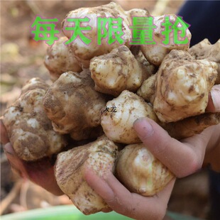 ���󽪡��F�������r���ӽ������������󽪷N��5���b