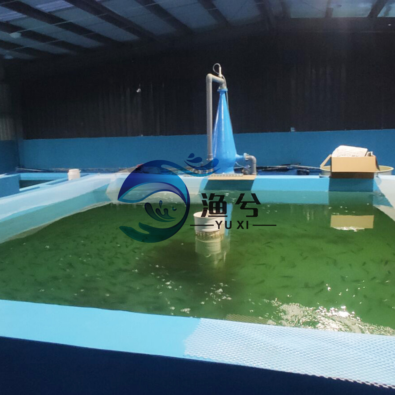 工厂化循环水养殖系统设计、现代智能工厂化养鱼设备