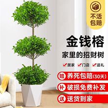 ���X�ſ͏d�������k���҃��辰�u�X����;Gֲ����լ�ͶY�ļ�����