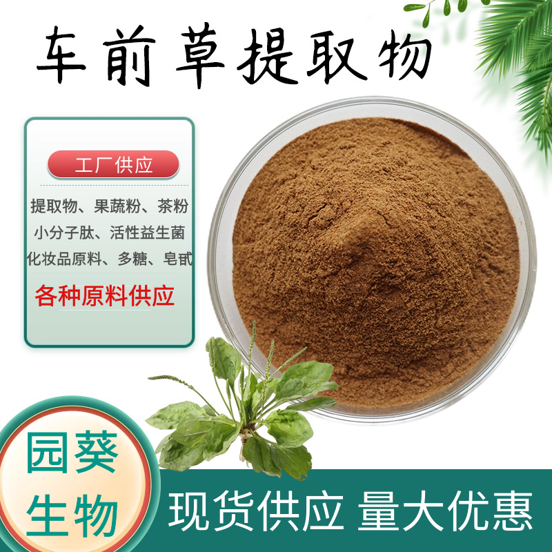 车前草提取物10:1 车前草粉 喷雾干燥 1kg起批现货 量大优惠