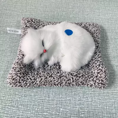 Car ornaments in addition to formaldehyde car - small-persian-cat-can-meow-meow
