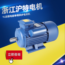 浙江沪特电机YL系列双值电容全铜线圈单相异步电动机厂家直供