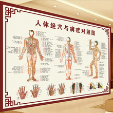 穴位图人体穴位图针灸经络拔罐经穴与病症对照中医大挂图跨境