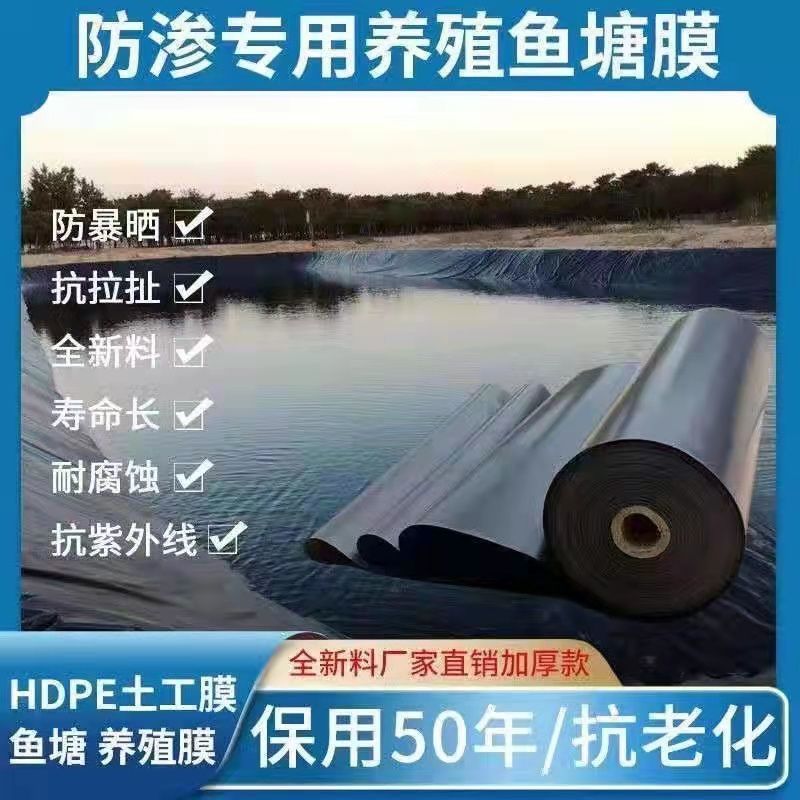 土工膜防滲膜魚塘塑料薄加厚漏池塘布魚池壹件代發跨境代發批發