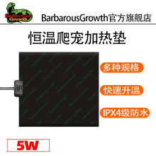 ����ӟ�|������������x���،m������ؿش��o�}�󱣜ؼӜ��O��