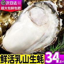 大乳山生蚝鲜活10新鲜海蛎子5斤带箱海鲜牡蛎贝壳即食水产