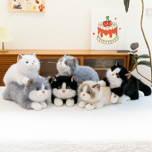 ����؈����؈��ë�q��߲�ż؈����ſ��С؈��ż���նY����˯�[��