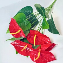 ����ֲ�� �tɫ�R��ɏ18�^�t���~5����ػ������Կ͏d�͏d�[���Gֲ