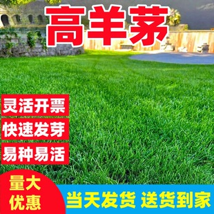 ����é�����ͺ���ƺ�N���ļ����o�¾G����������������`̤ͥԺ